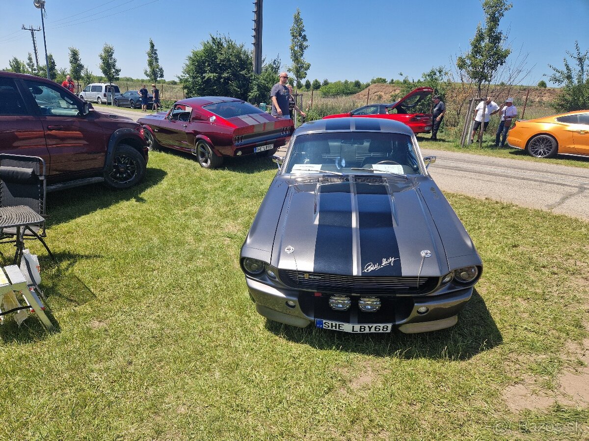 ELEANOR Shelby GT500 V8 - 3