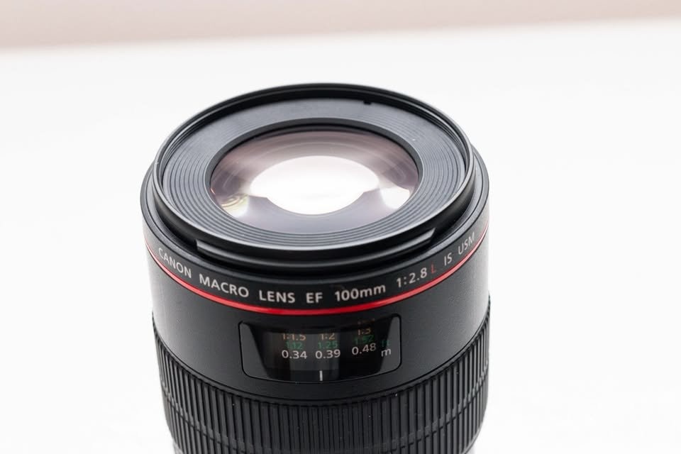Canon EF 100mm f/2.8L Macro IS USM - 3