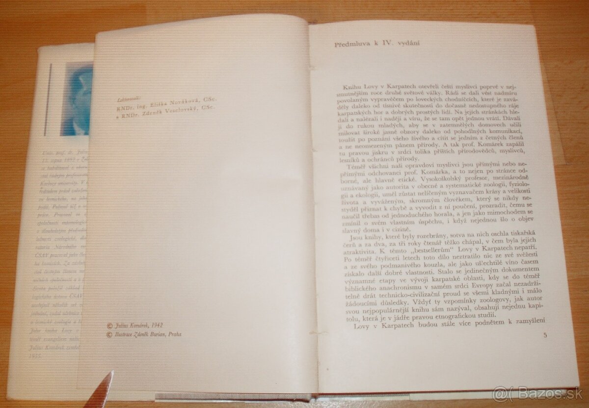 Lovy v Karpatech - 3