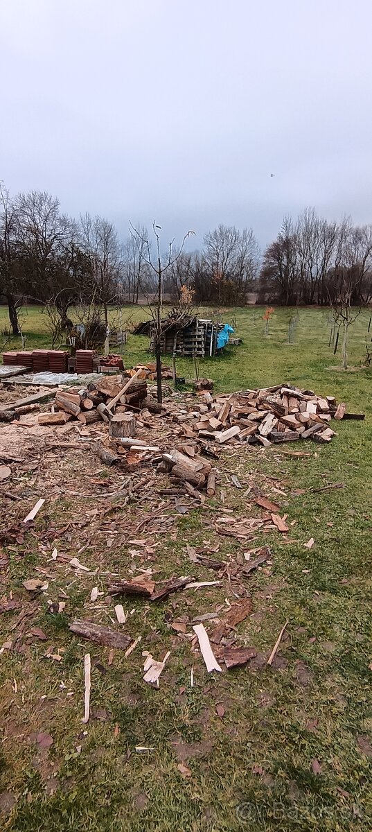 ČISTENIE POZEMKOV💪PÍLENIE DREVA💪KOSENIE KROV.RUČ RYĽOVANIE - 3