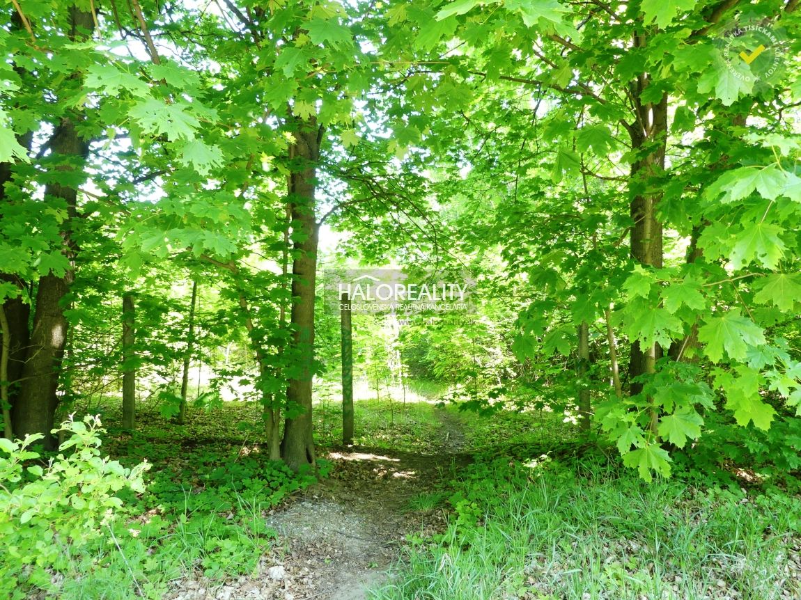 HALO reality - Predaj, pozemok 5834 m2 Trnava, zaujímavý i - 3