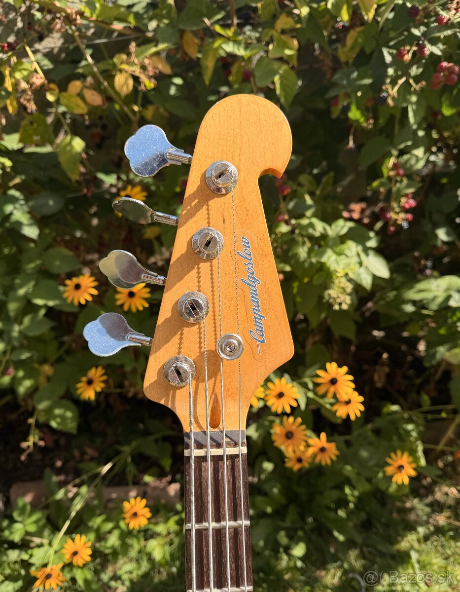 P Bass - 3