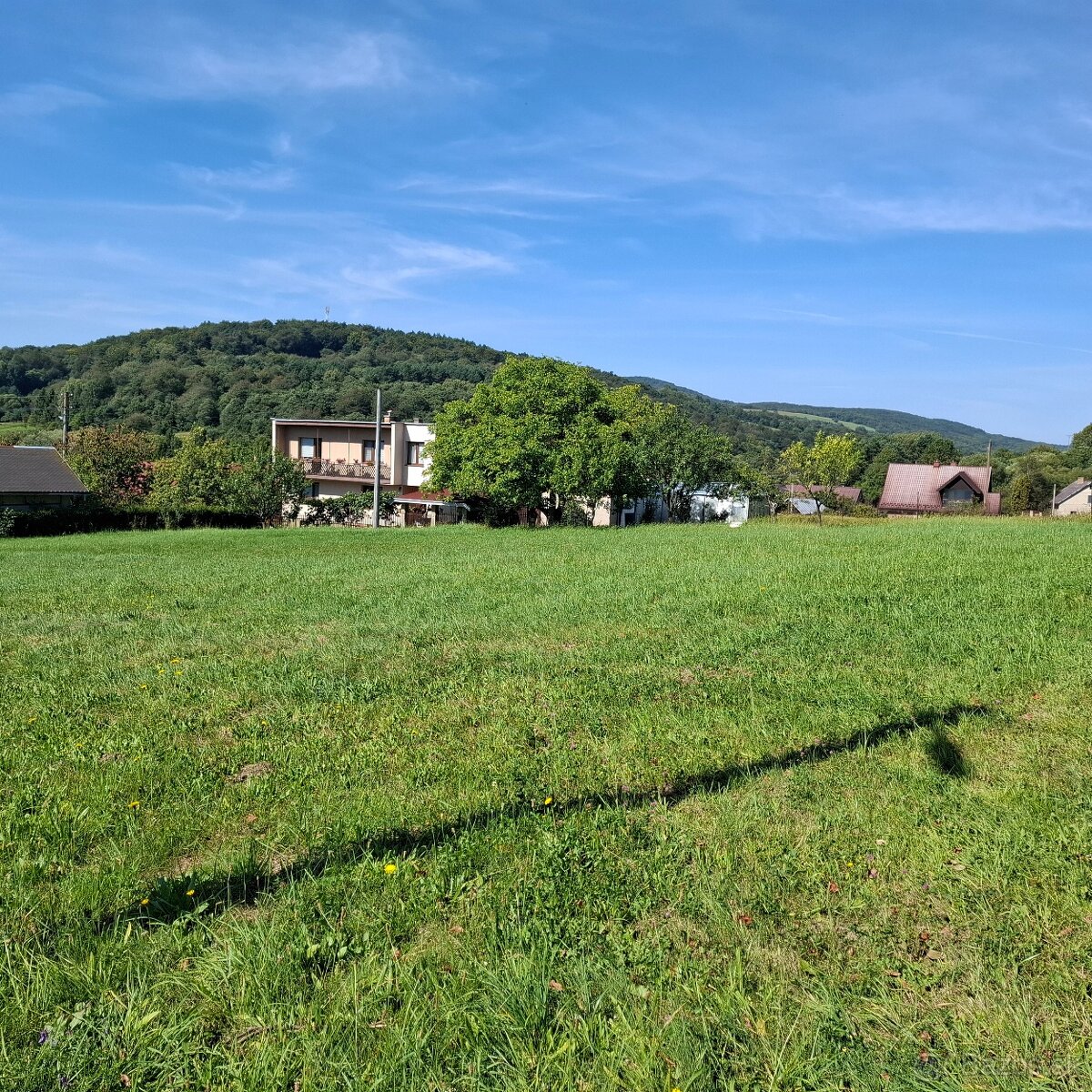 NIŽNÁ POLIANKA - POZEMOK V INTRAVILÁNE - 3