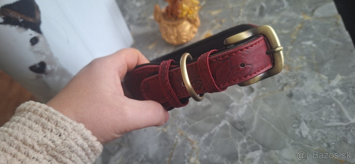 Novy kozeny mohutny obojok - 3