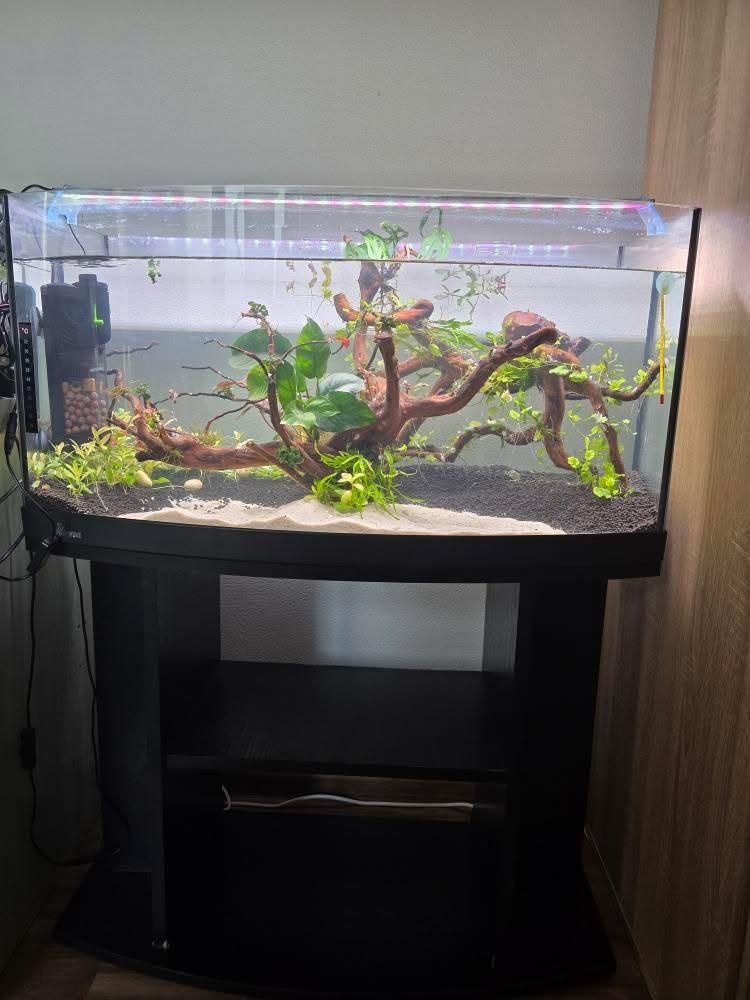 Diversa 112l vypuklé akvárium, Diversa budget stolík - 3