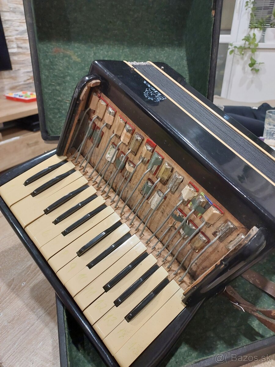 Akordeon - 3