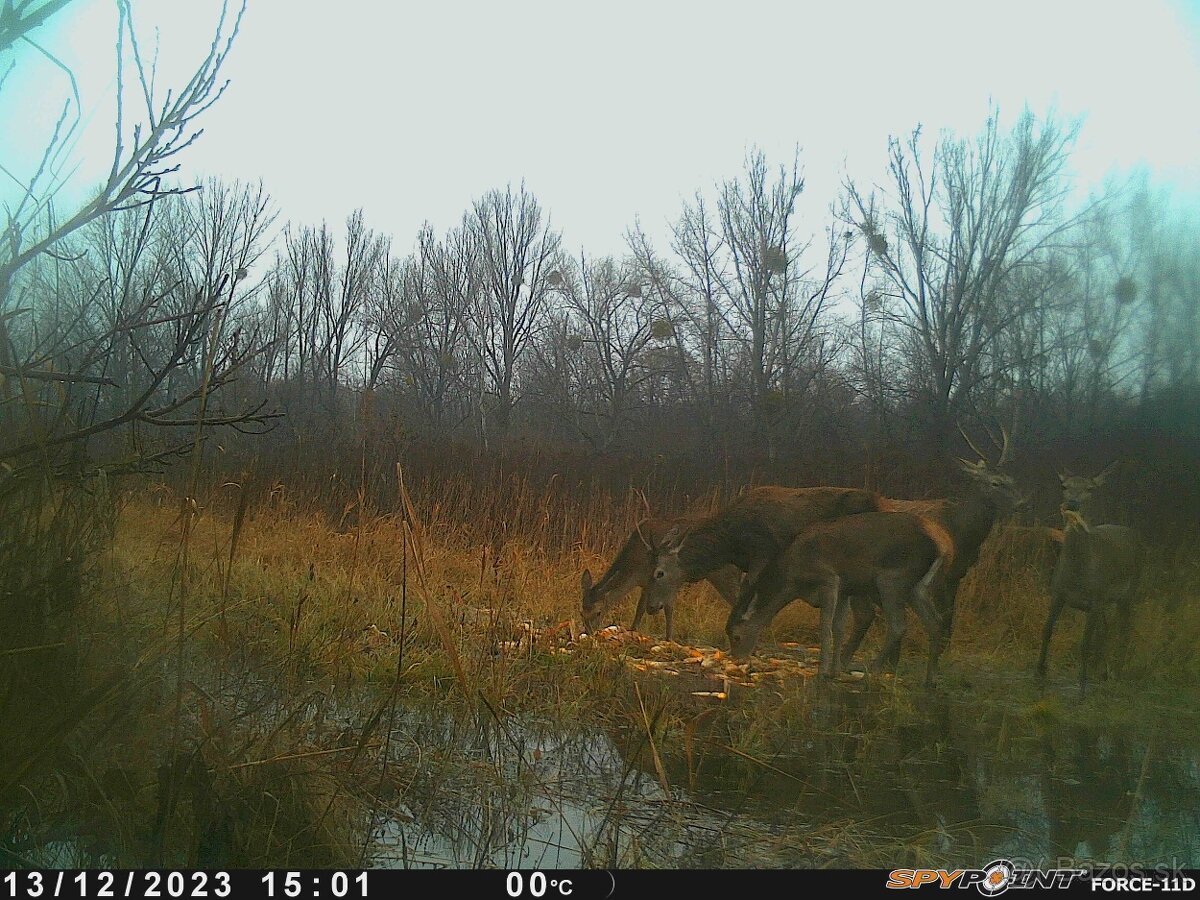 Fotopasca Spypoint force 11D - 3