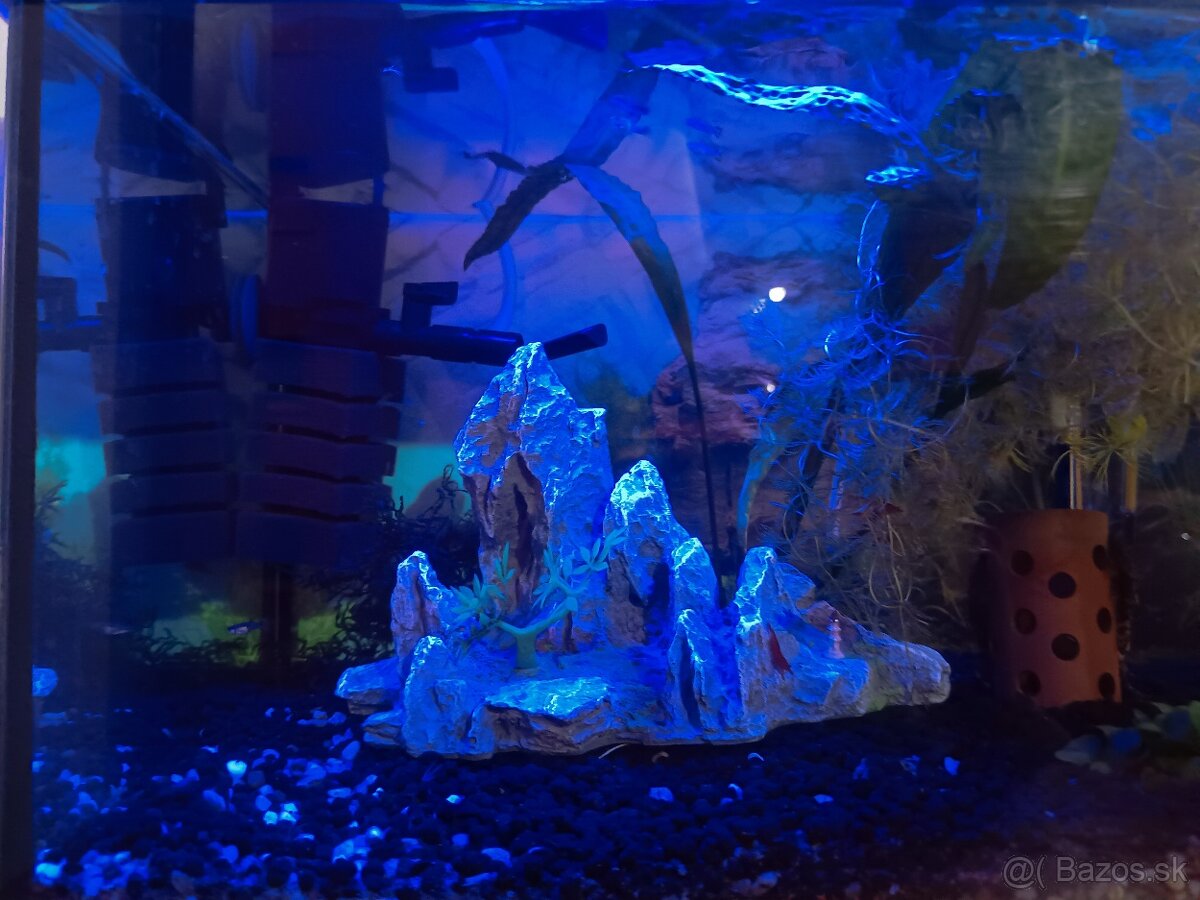 Akvárium ryby krevety filter teplomer dekorácie - 3