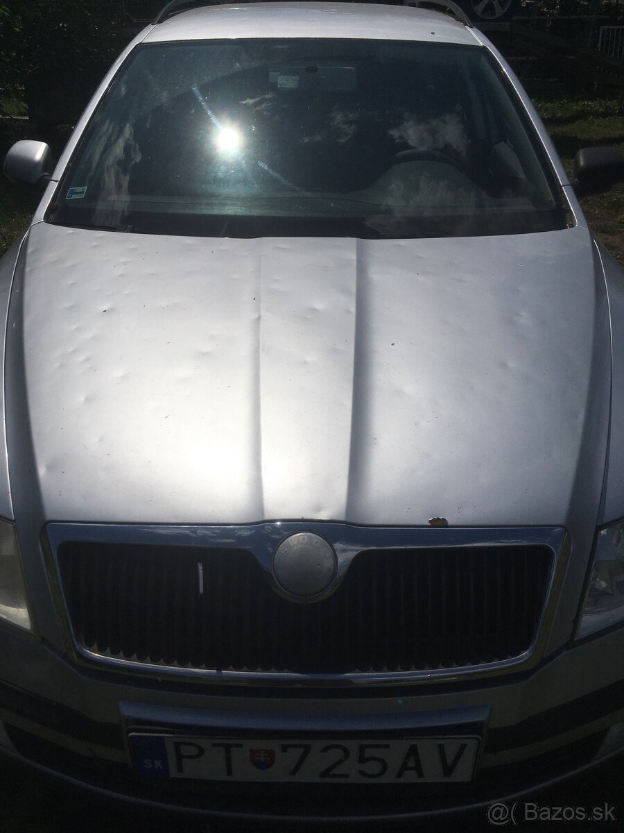 Skoda Octavia 2 1.9 TDI 4x4 - 3