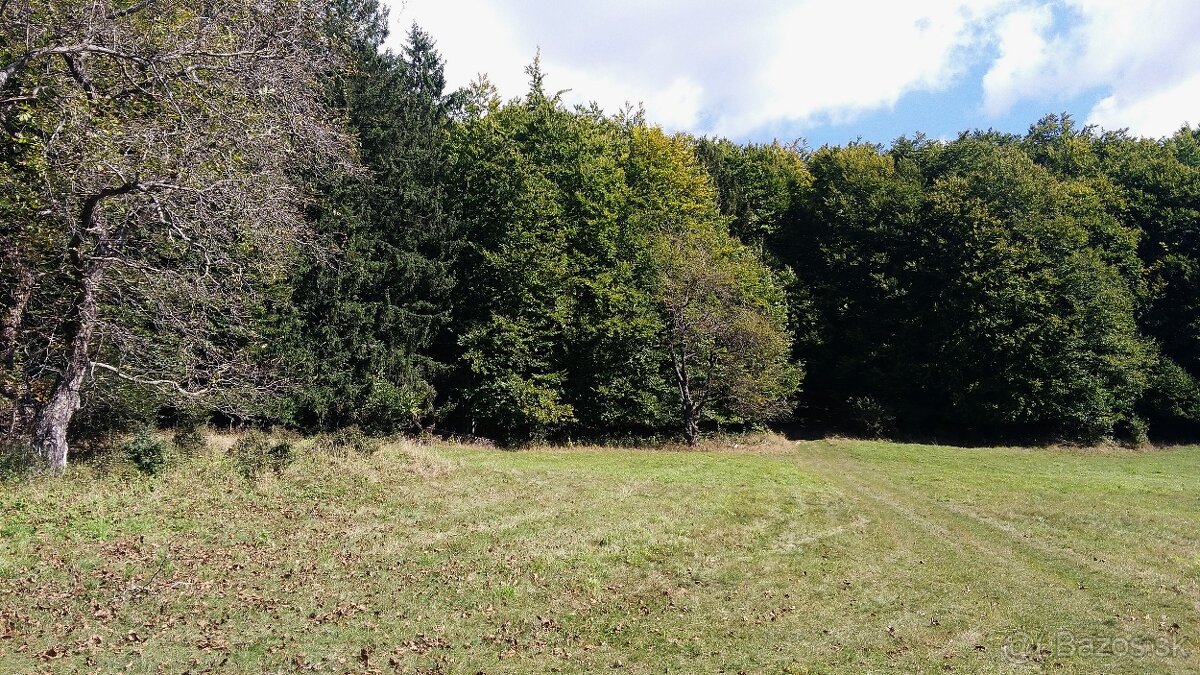 Pozemky (lesy, pasienky, lúky) v k.ú. Šípkov - predám. - 3