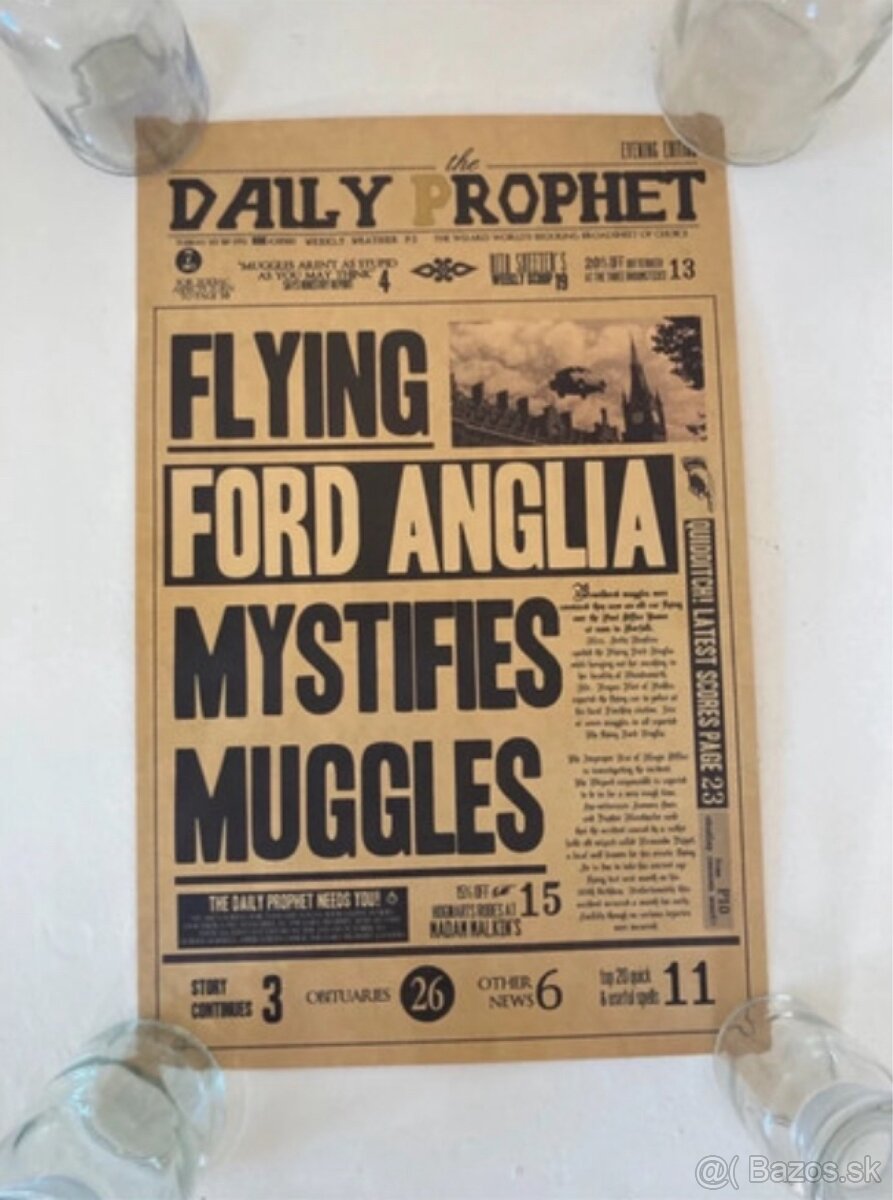 Harry Potter Plagáty - 3