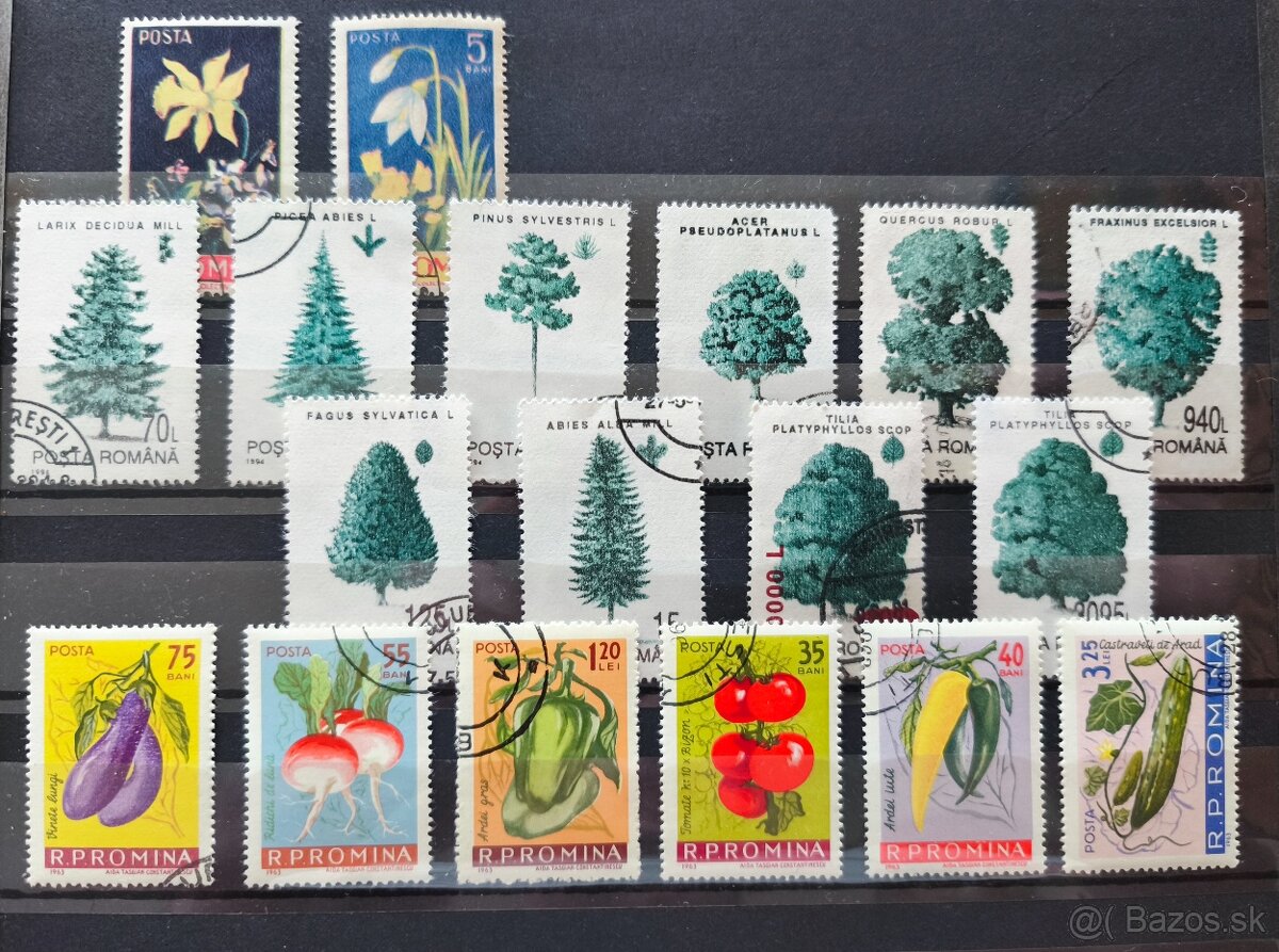 Známky kvety Rumunsko - 3