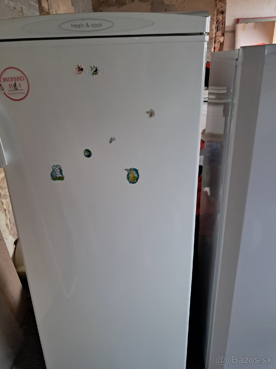 Predávam chladničku a mrazničku - 3