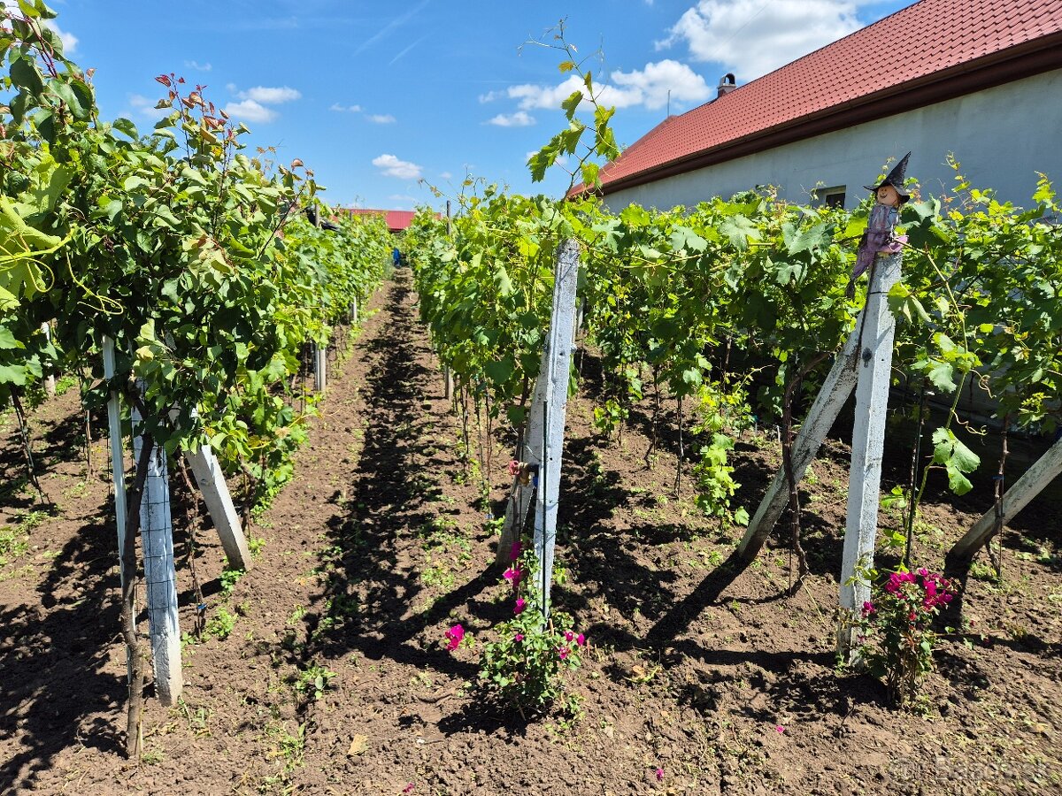 Predám pozemok v marcelovej. 1100m2 - 3
