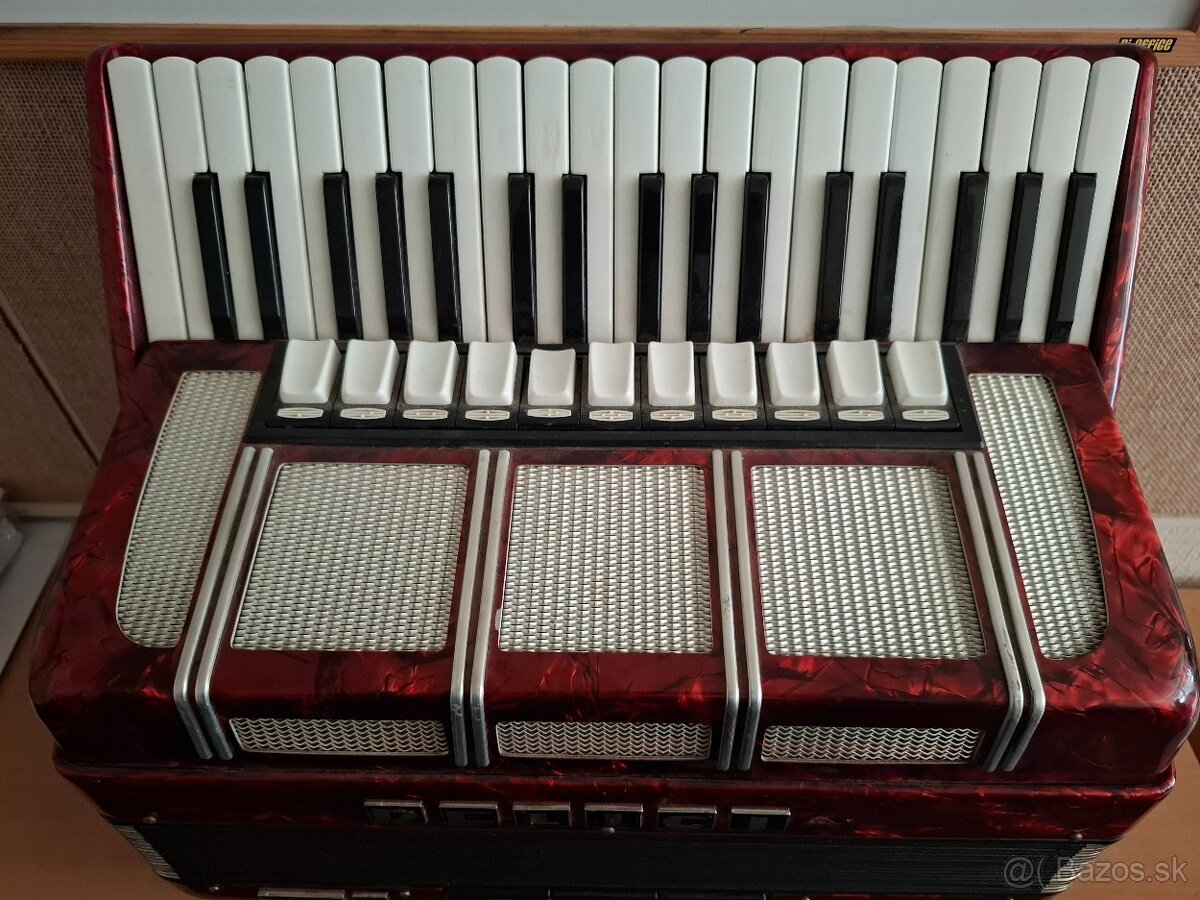 Akordeón Delicia - 3