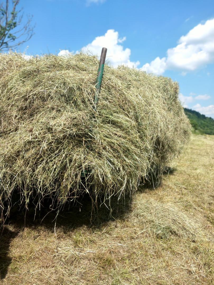 Predam lučne seno neupršane - 3