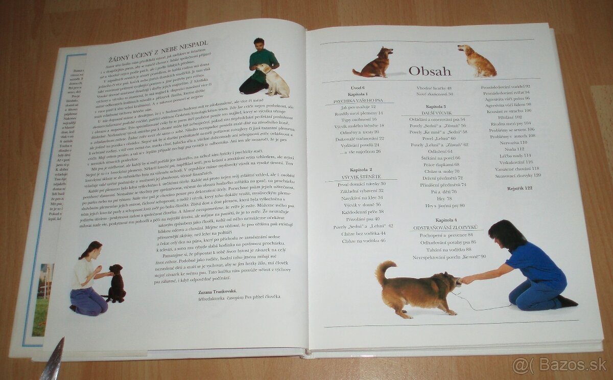 Výchova a výcvik psa - 3