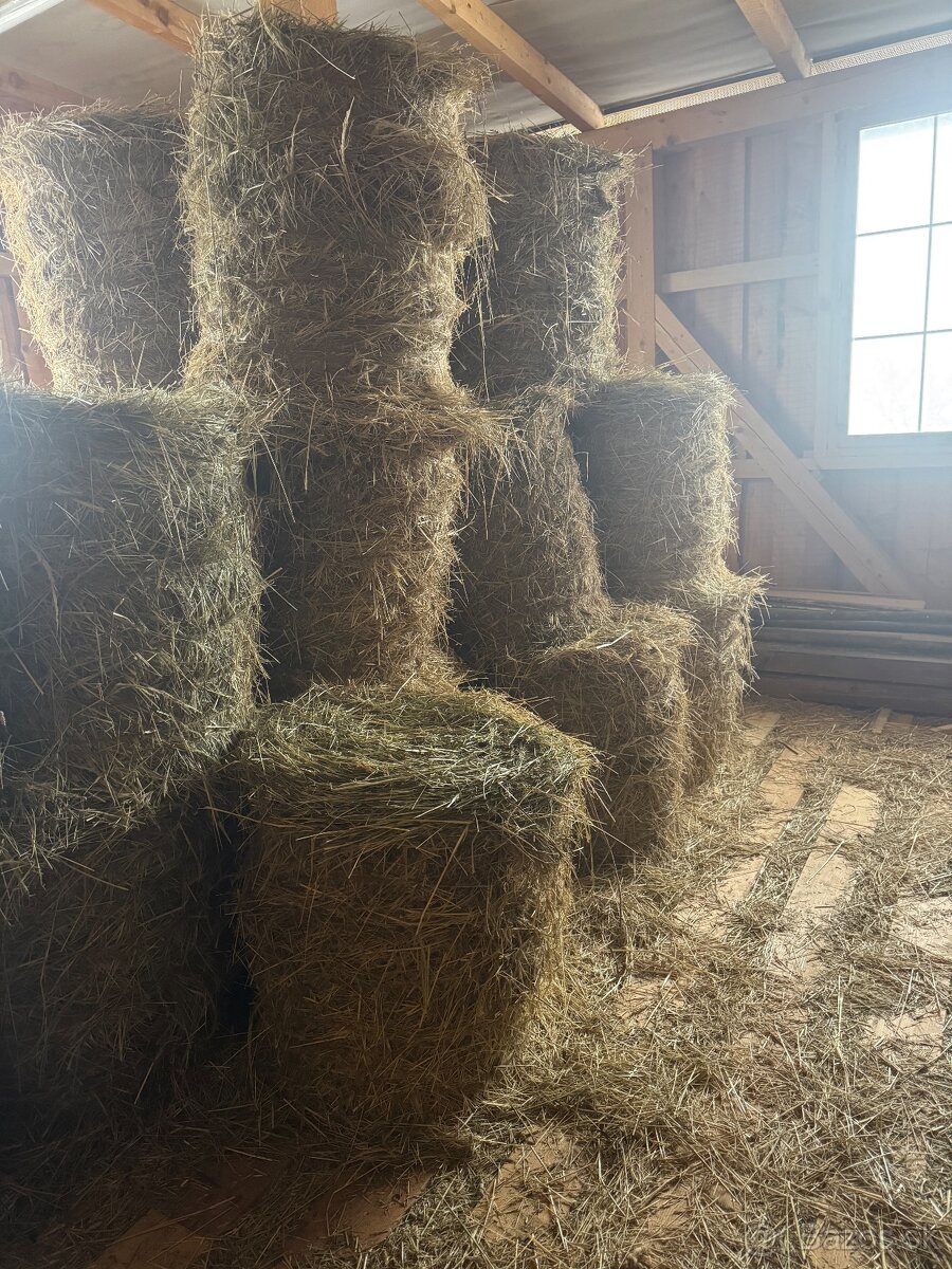 Seno guľaté balíky - 3