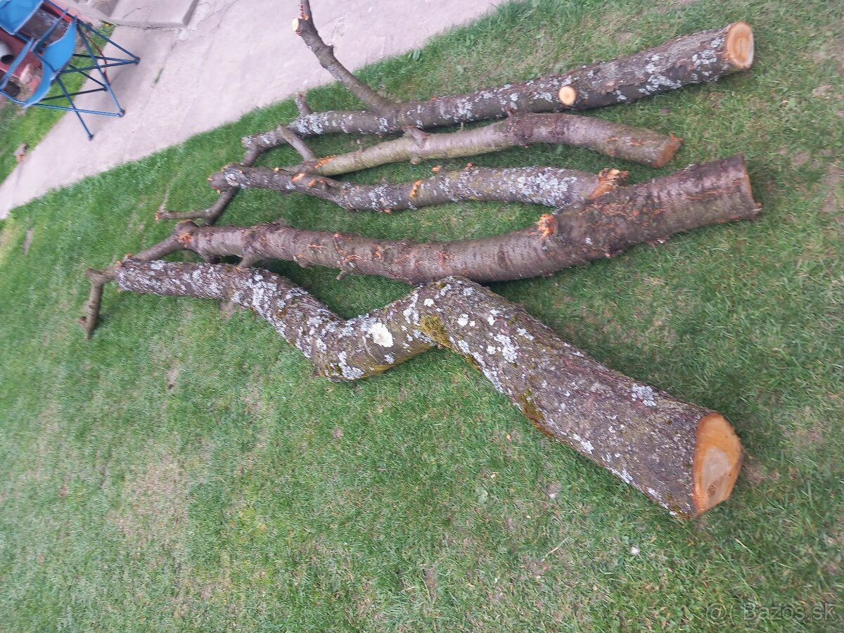 Čerešňové drevo - 3
