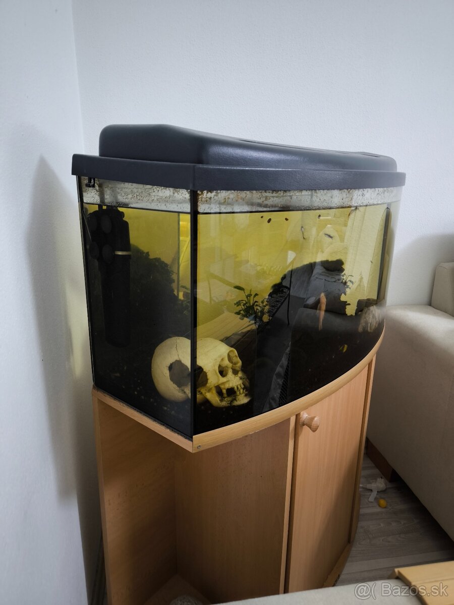 Panoramatické akvárium 100L - 3