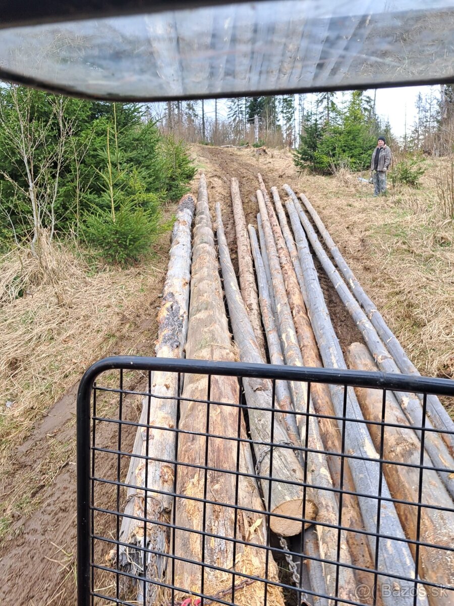 Naviják trojbodový - 3