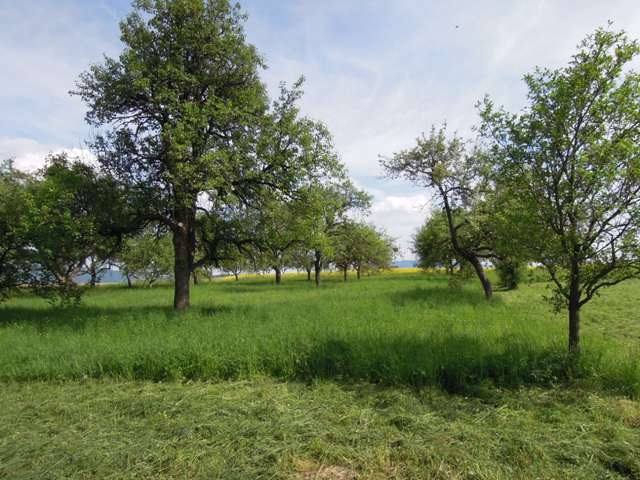 Fotografia 3