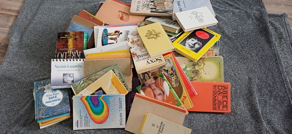 Darujem knihy a keramiku - 3