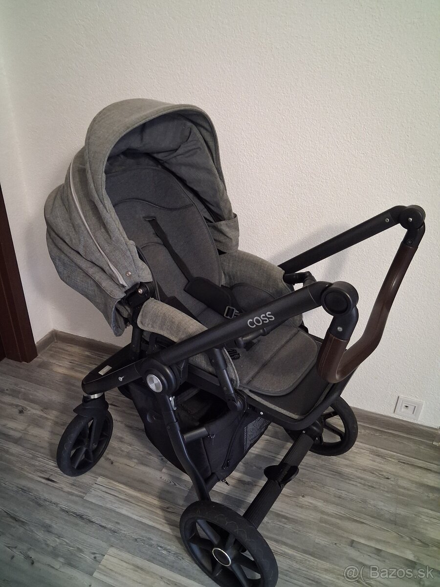 Roan coss - 3