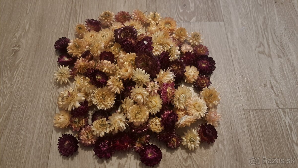 Sušené kvety - 3