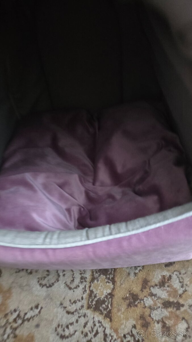 Nova kukaňa pekech ore macky a psy - 3