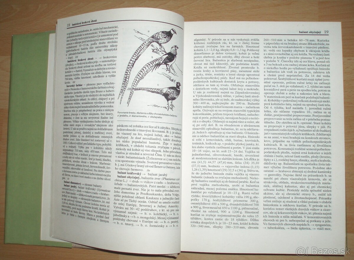 Poľovnícky náučný slovník - 3