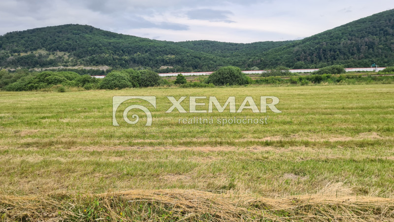 Na predaj stavebný pozemok v Detve - 3