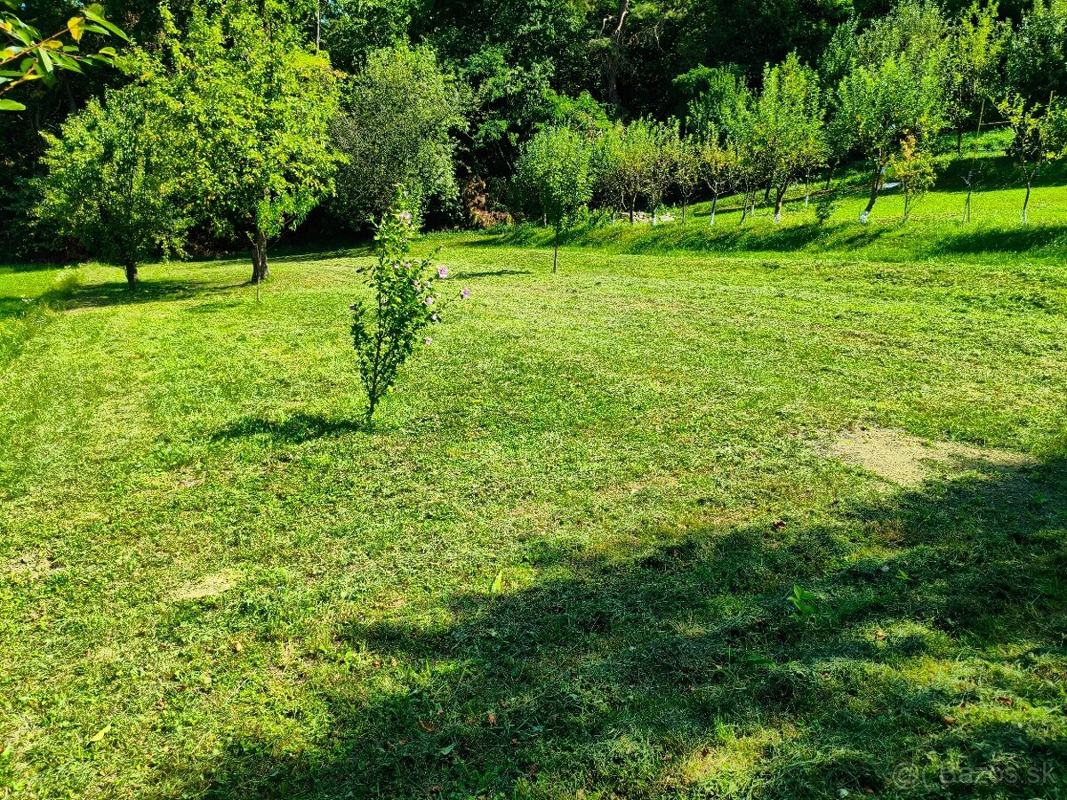 Záhrada v obci Bystré - 3