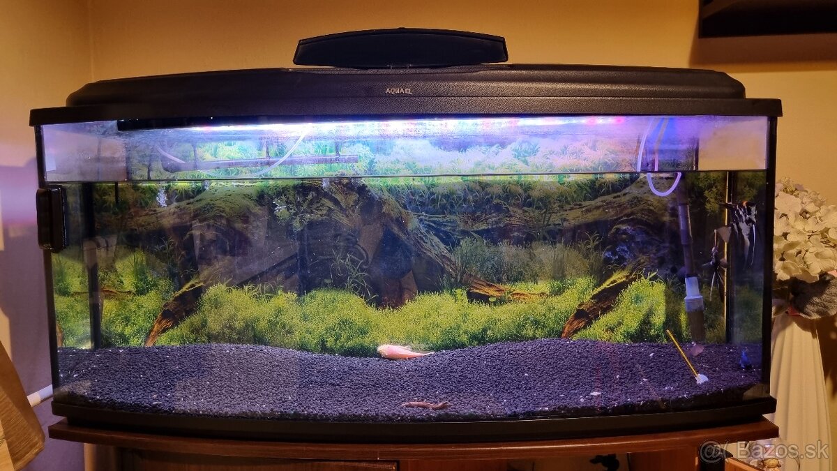 Zaoblené akvárium 240l predaj - 3