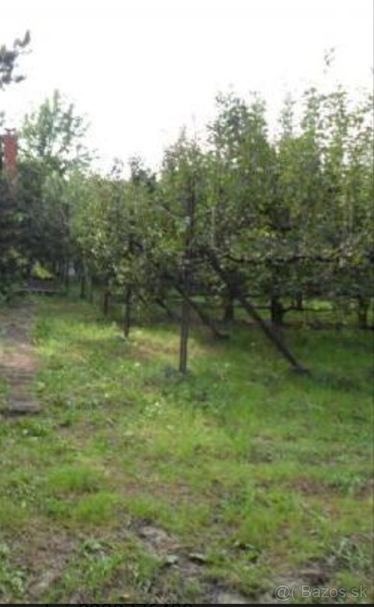 Predaj pozemok/záhrada pri Komárne - 3