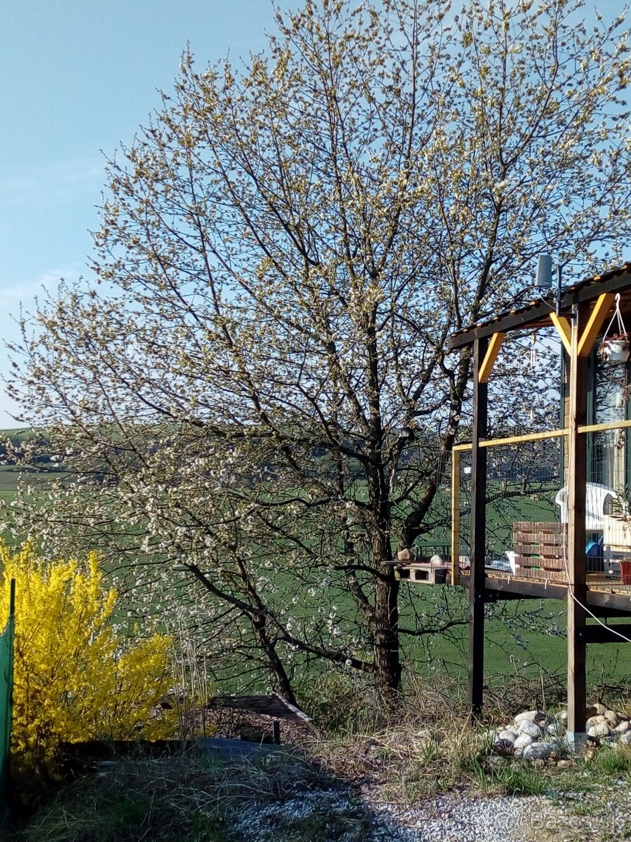 Mobilny dom 50m2 - 3