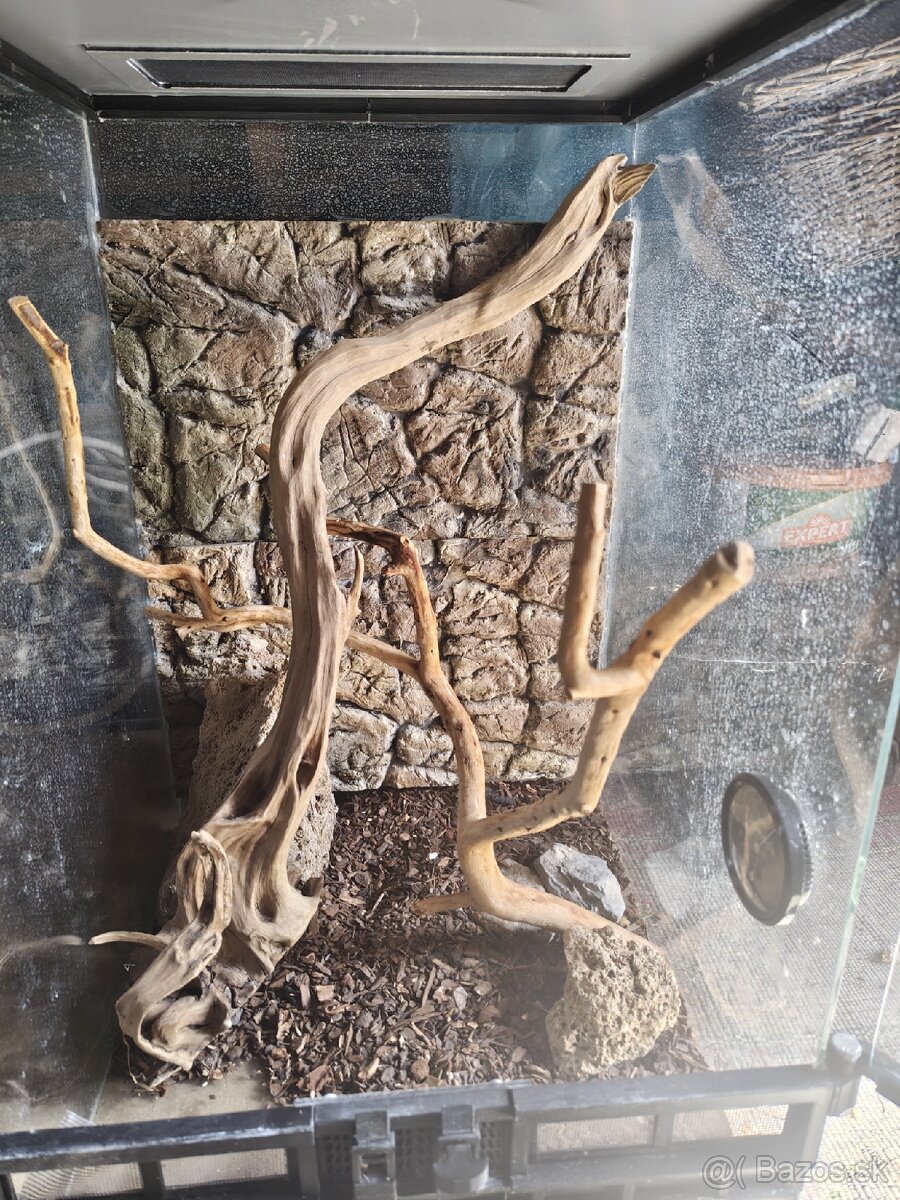 Predám terárium 41 × 41,5 × 62,5 cm - 3