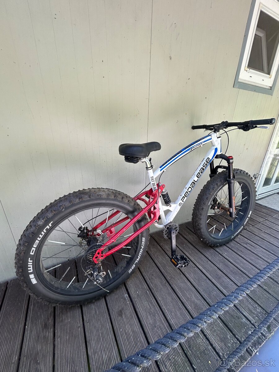 Fat-Bike - 3
