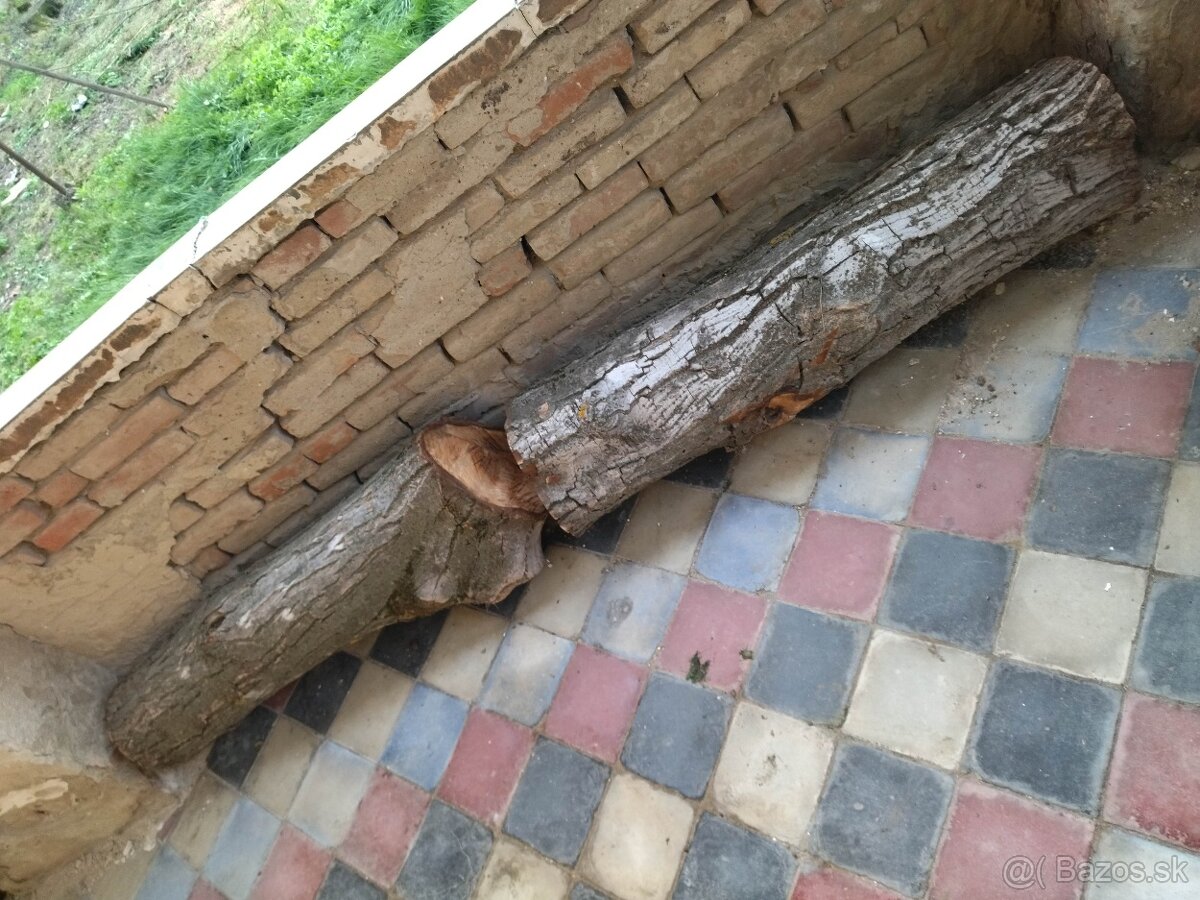 Predám orechové kmene - 3