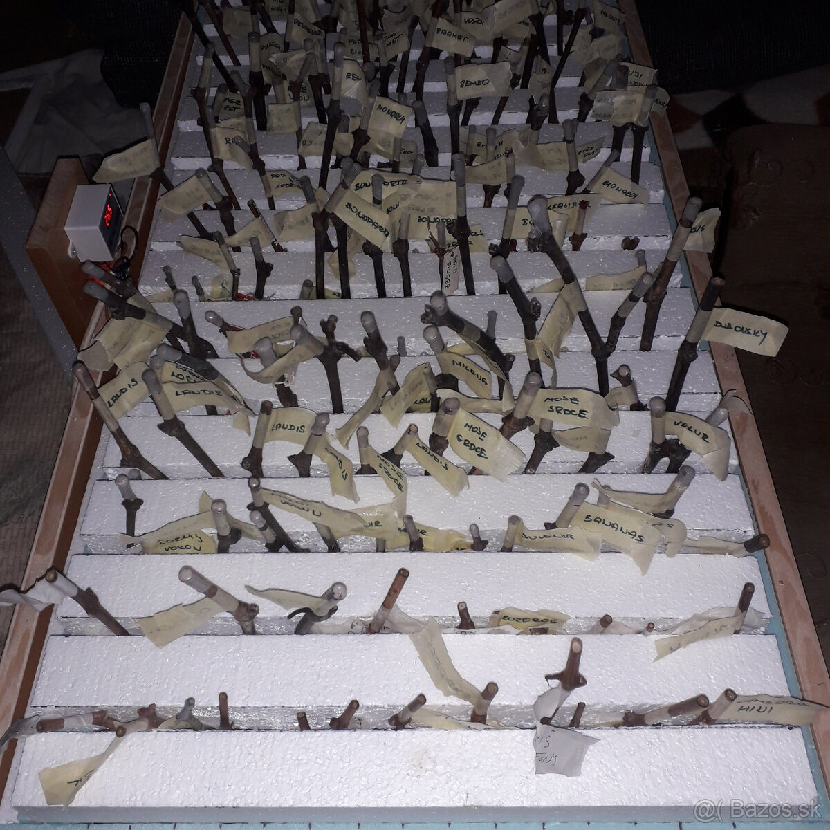 Zakoreňovaci box - 3