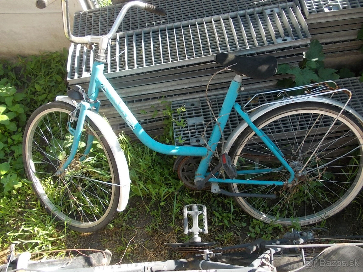 Stary favorit,eska - 3