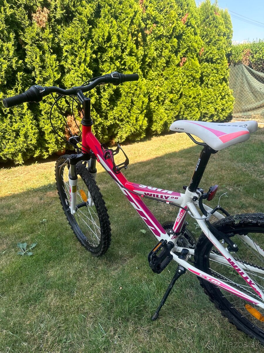 Detsky bicykel WILLY 2,0 - 3