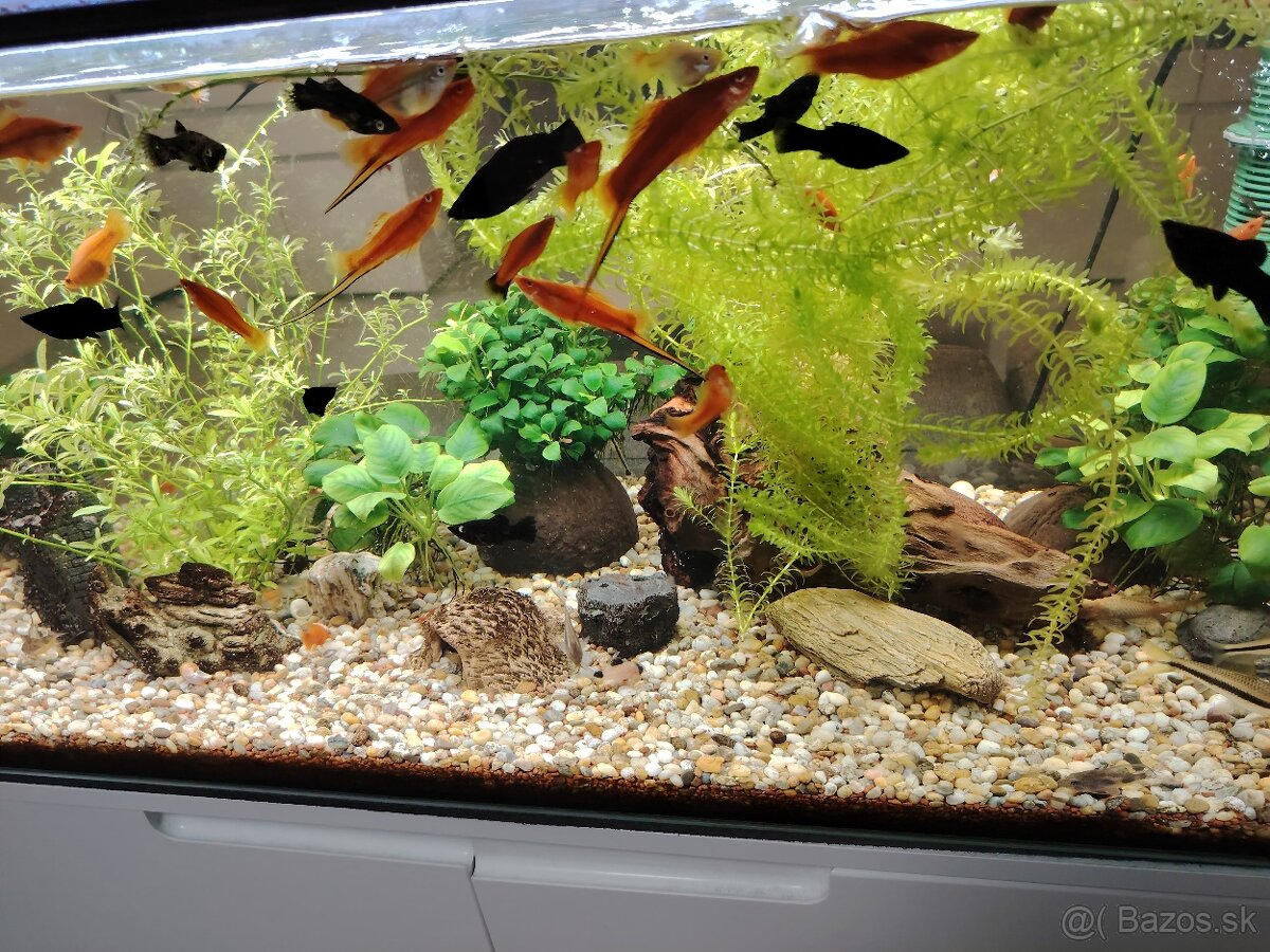Predám 160l akvárium - 3