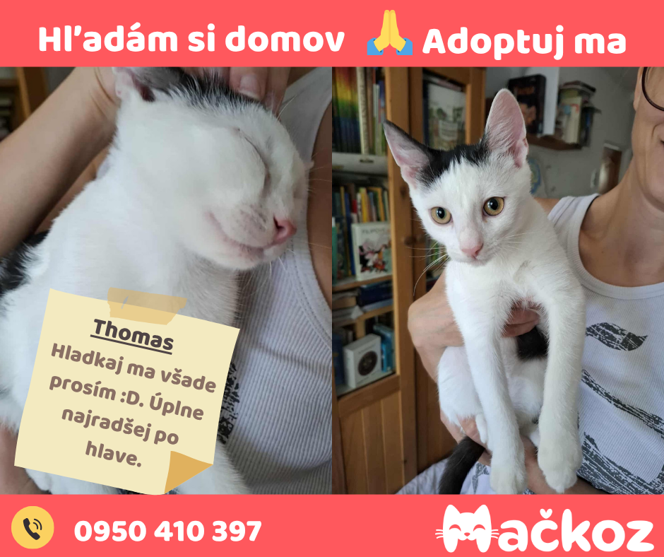 THOMAS a GABRIEL - DARUJEM KOCURIKA / KOCURIKOV NA ADOPCIU - 3