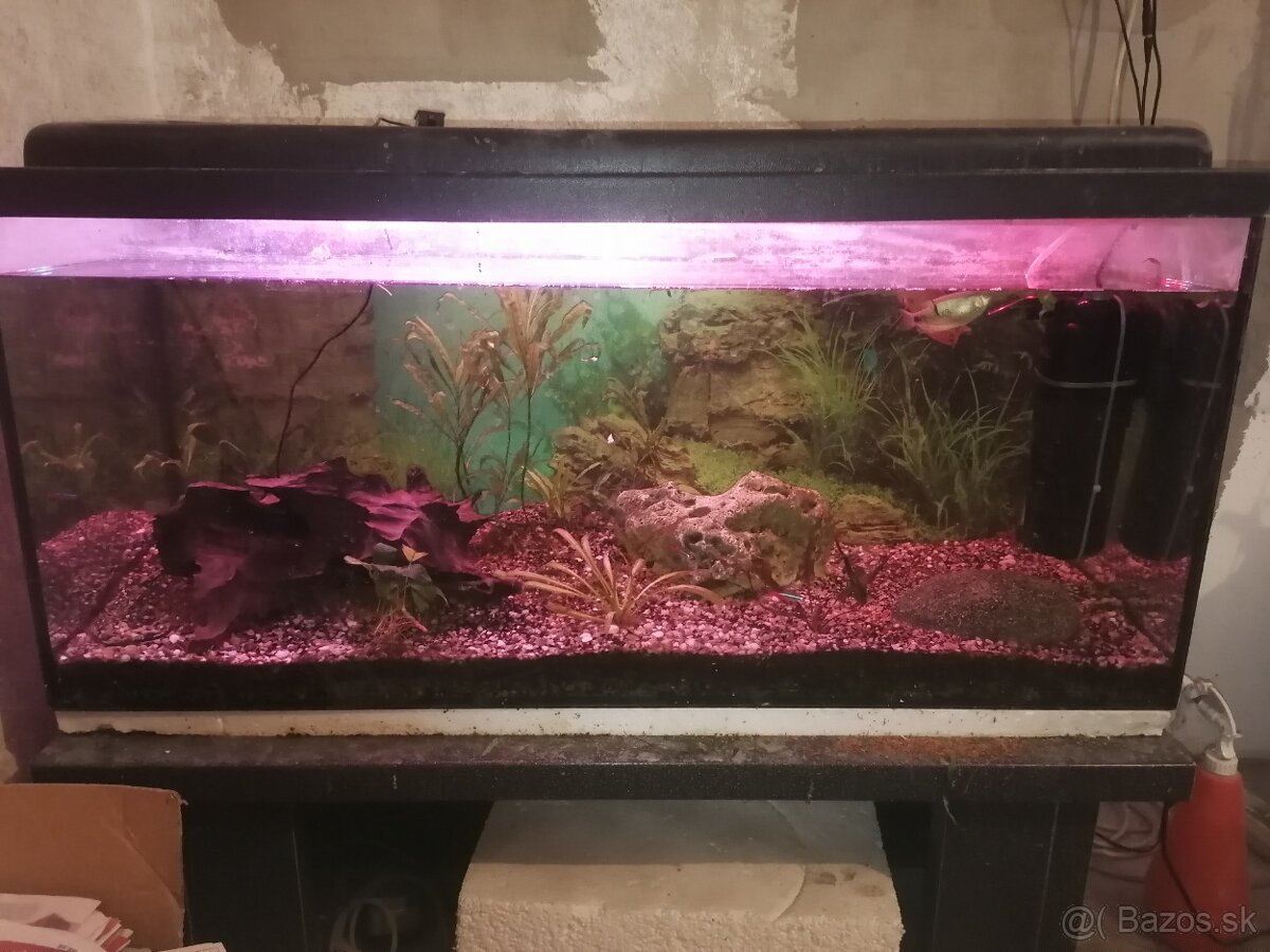 Akvarium - 3