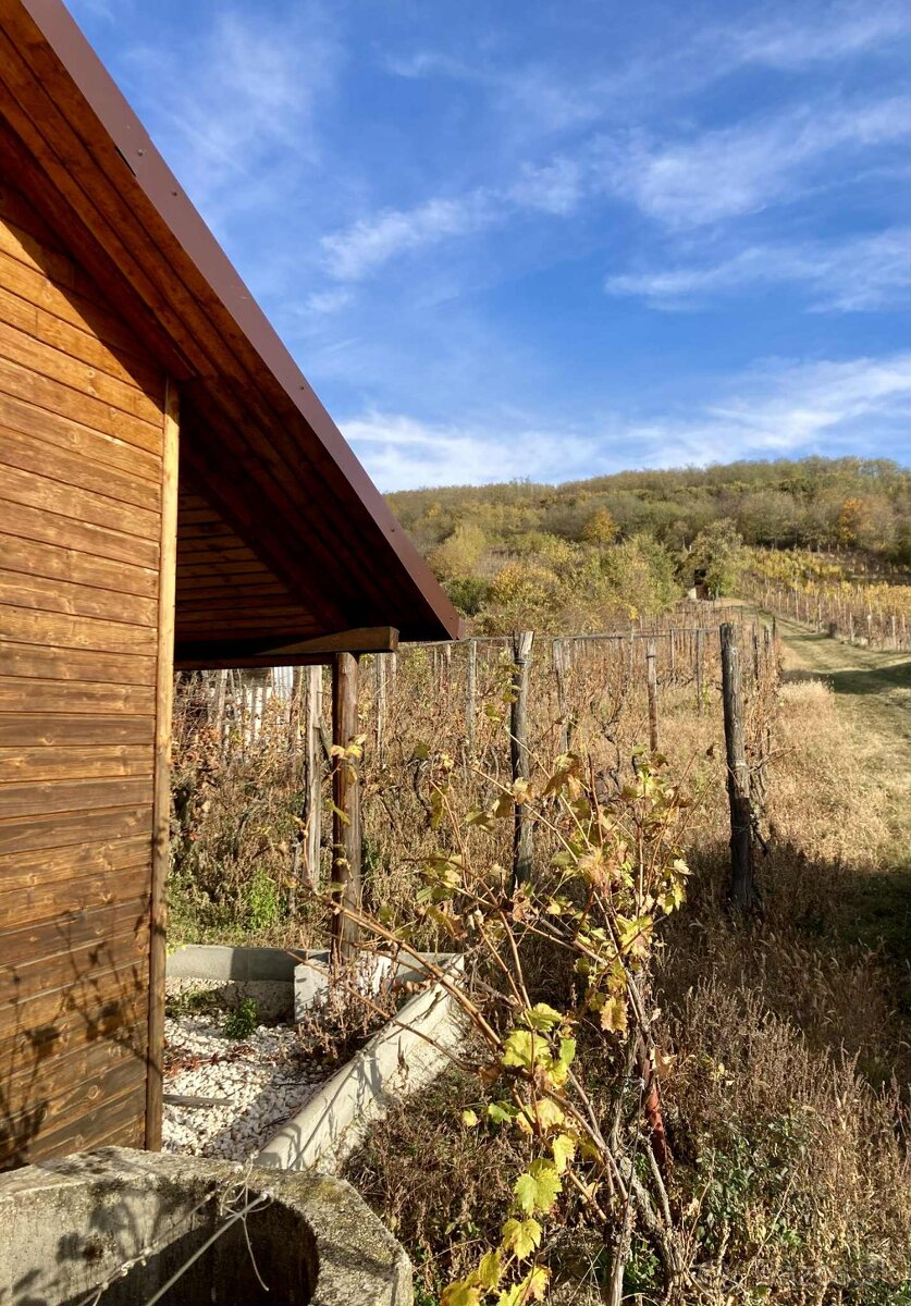 Vinica s chatkou – Hegyfarok, Kamenný Most – predaj/výmena - 3