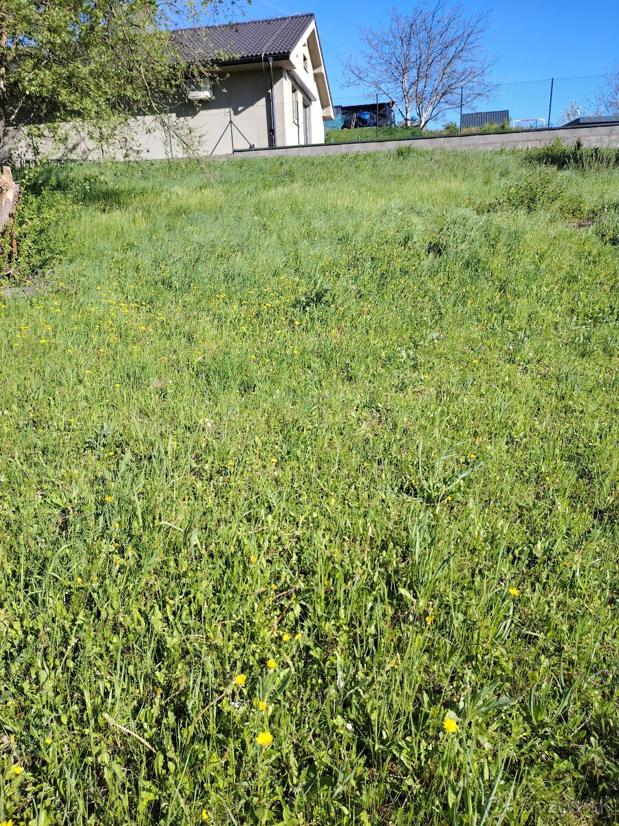 Ponúkam peknú , veľkú , záhradu - 3