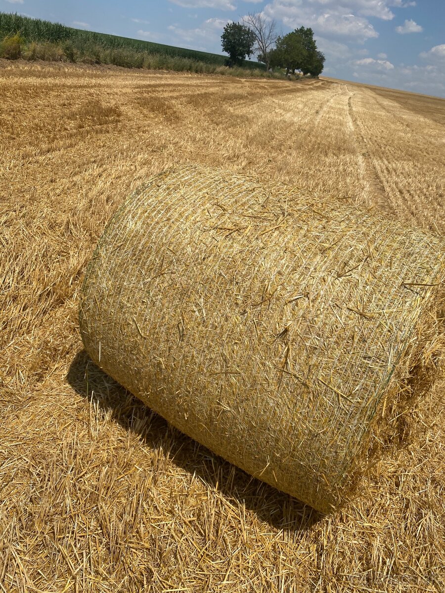 Slama z pod strechy - 3