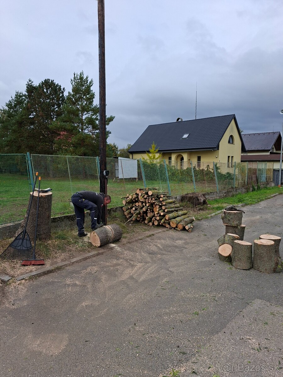 Pilenie a orezavanie stromov - 3