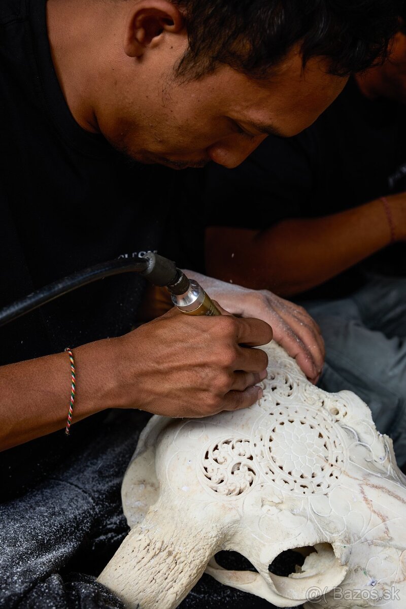 Obrovská šedá vyrezávaná lebka Vodného Bývola - motív Badong - 3